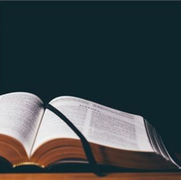 Meet your Posher, Kerline - Picture 1 of 1